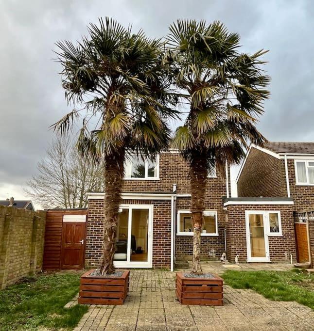 The Palm Tree House *